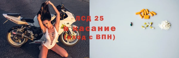 ГАЛЛЮЦИНОГЕННЫЕ ГРИБЫ Аркадак
