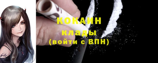 ГАЛЛЮЦИНОГЕННЫЕ ГРИБЫ Аркадак