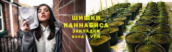 ГАЛЛЮЦИНОГЕННЫЕ ГРИБЫ Аркадак