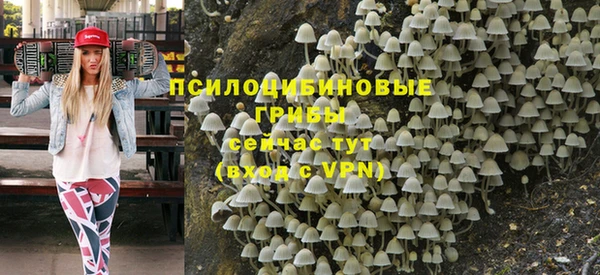 прущие крисы Армянск
